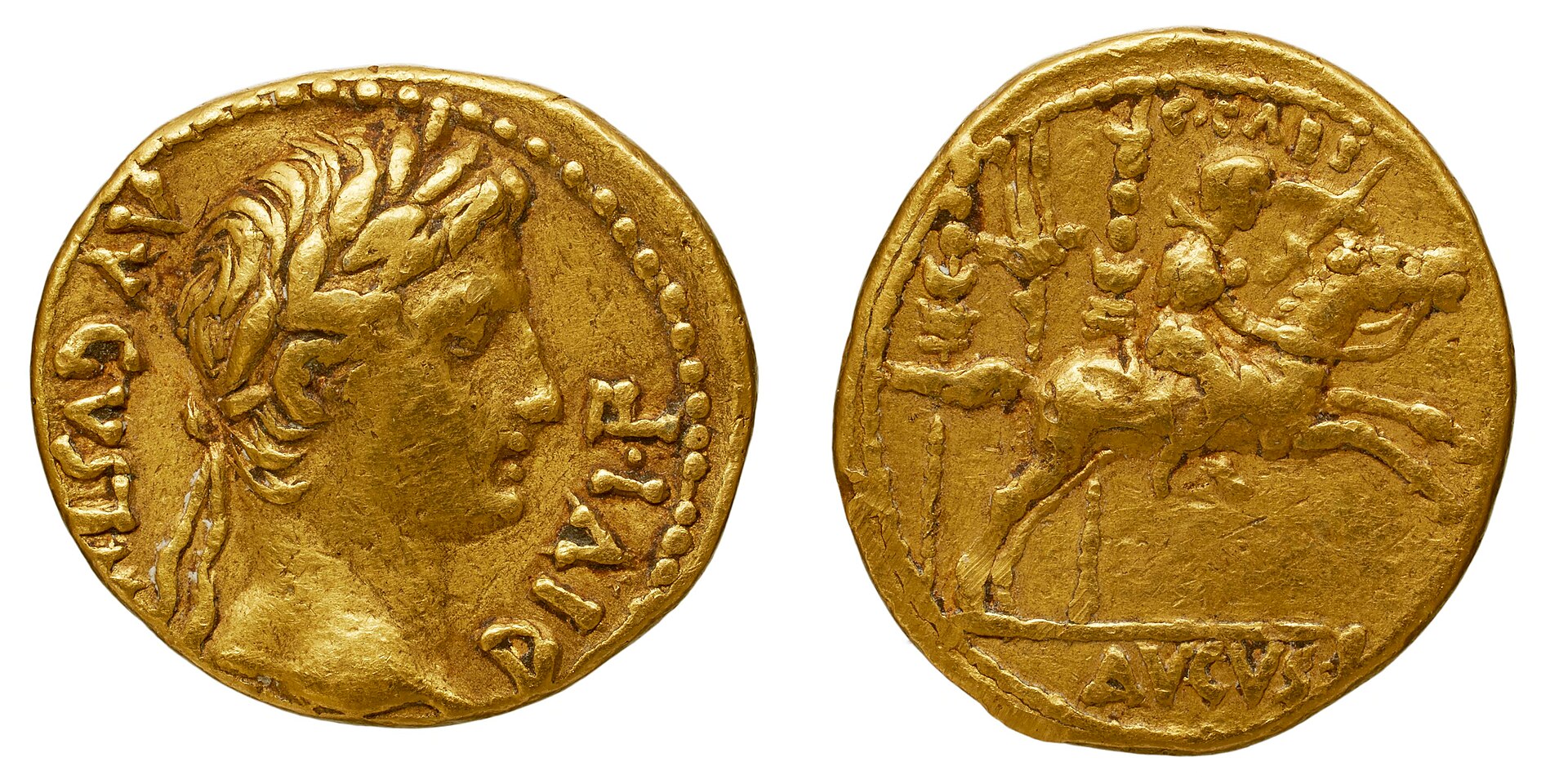 Aureus