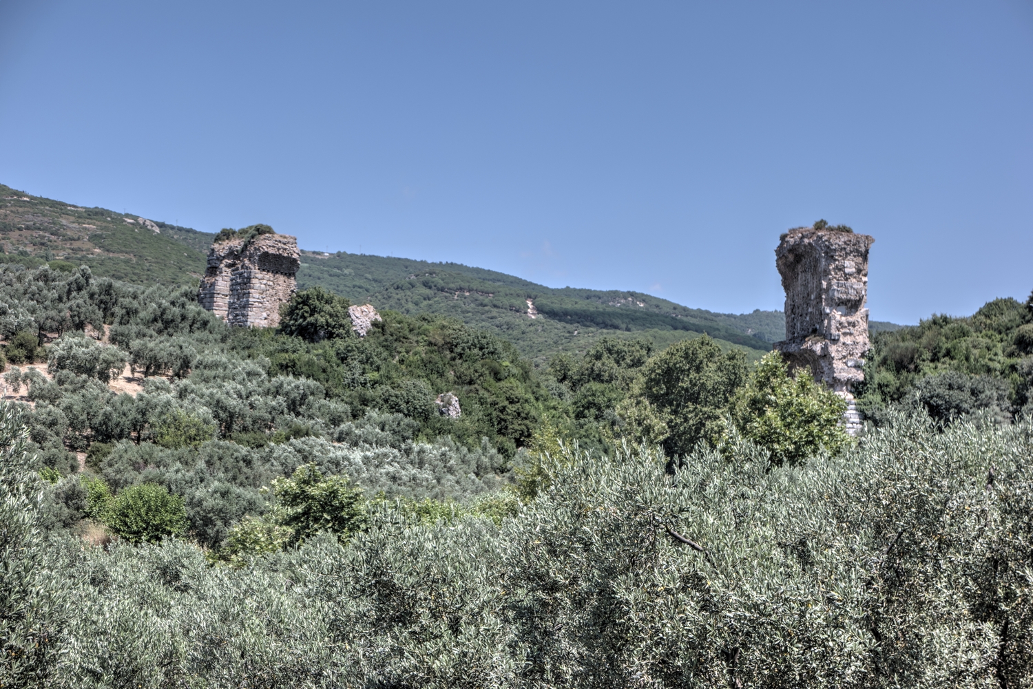 Cizic