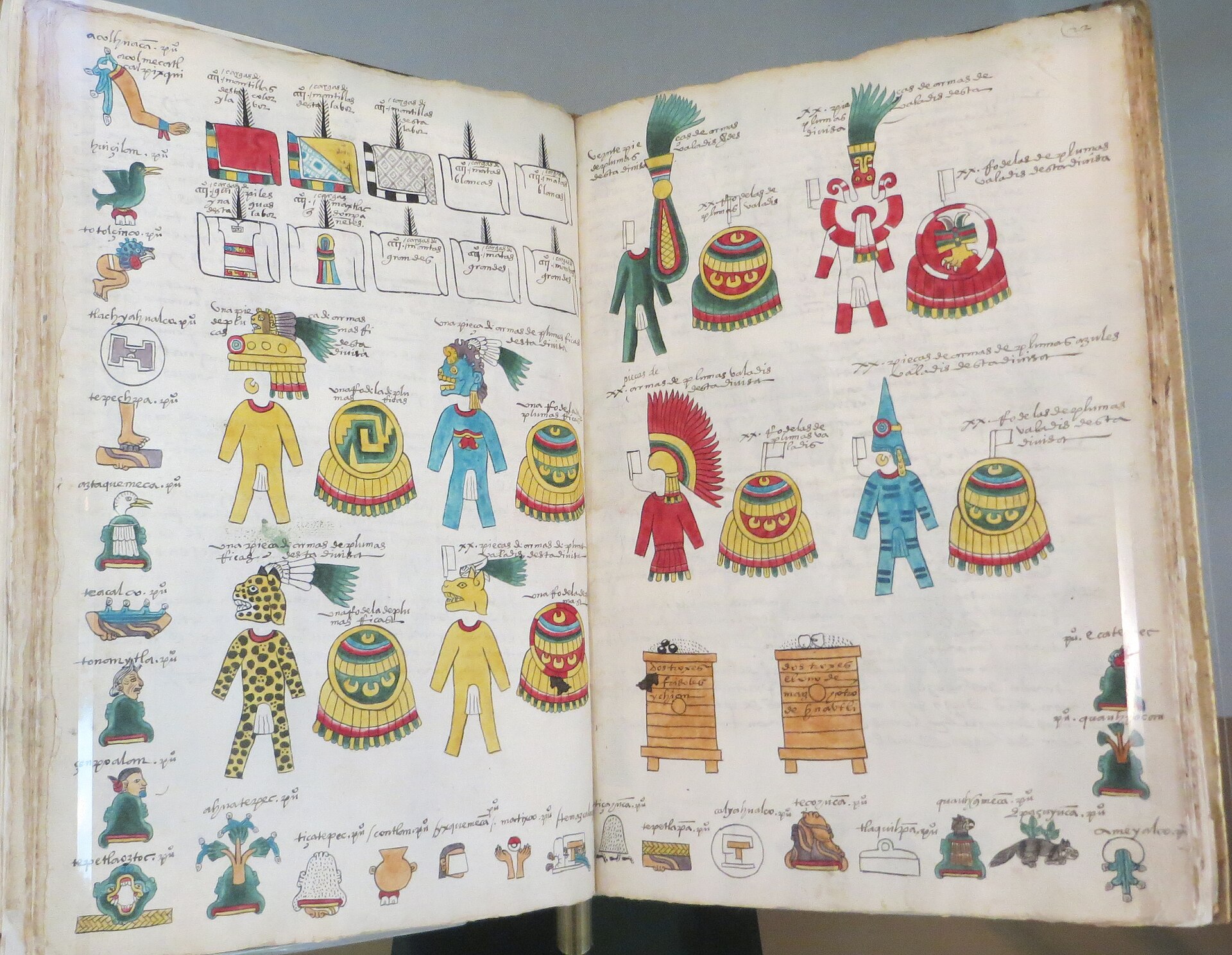Codex