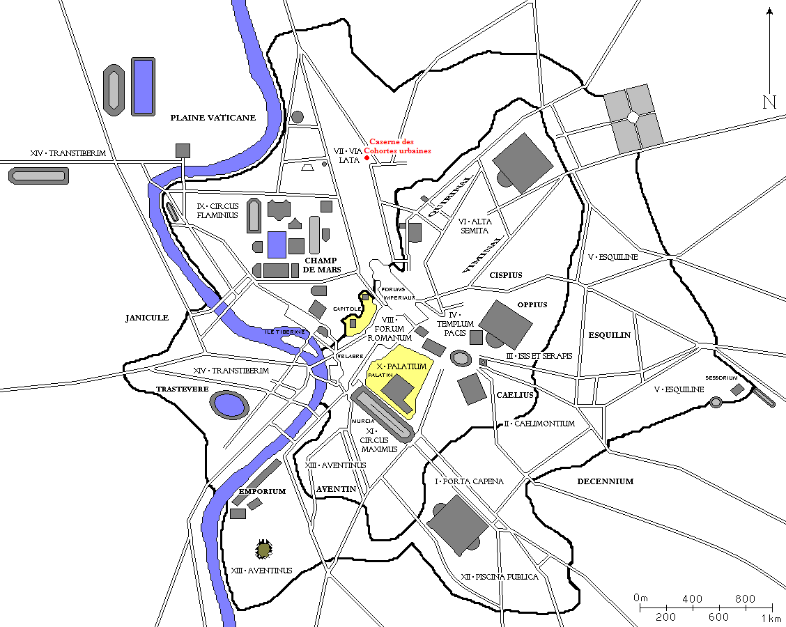 Cohortă