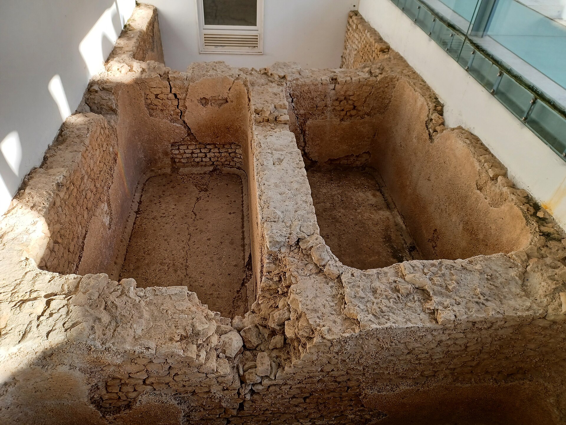 Garum