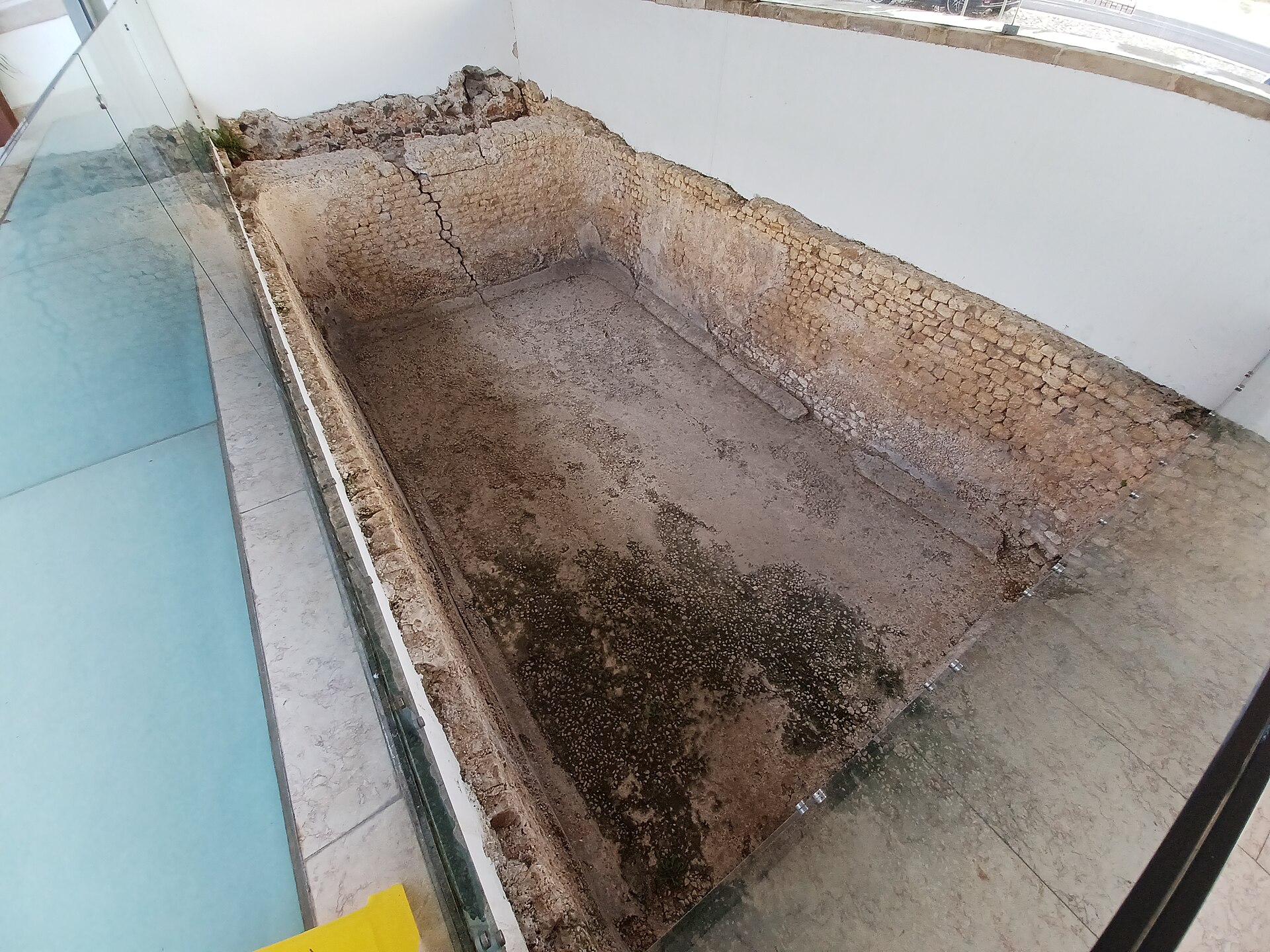 Garum