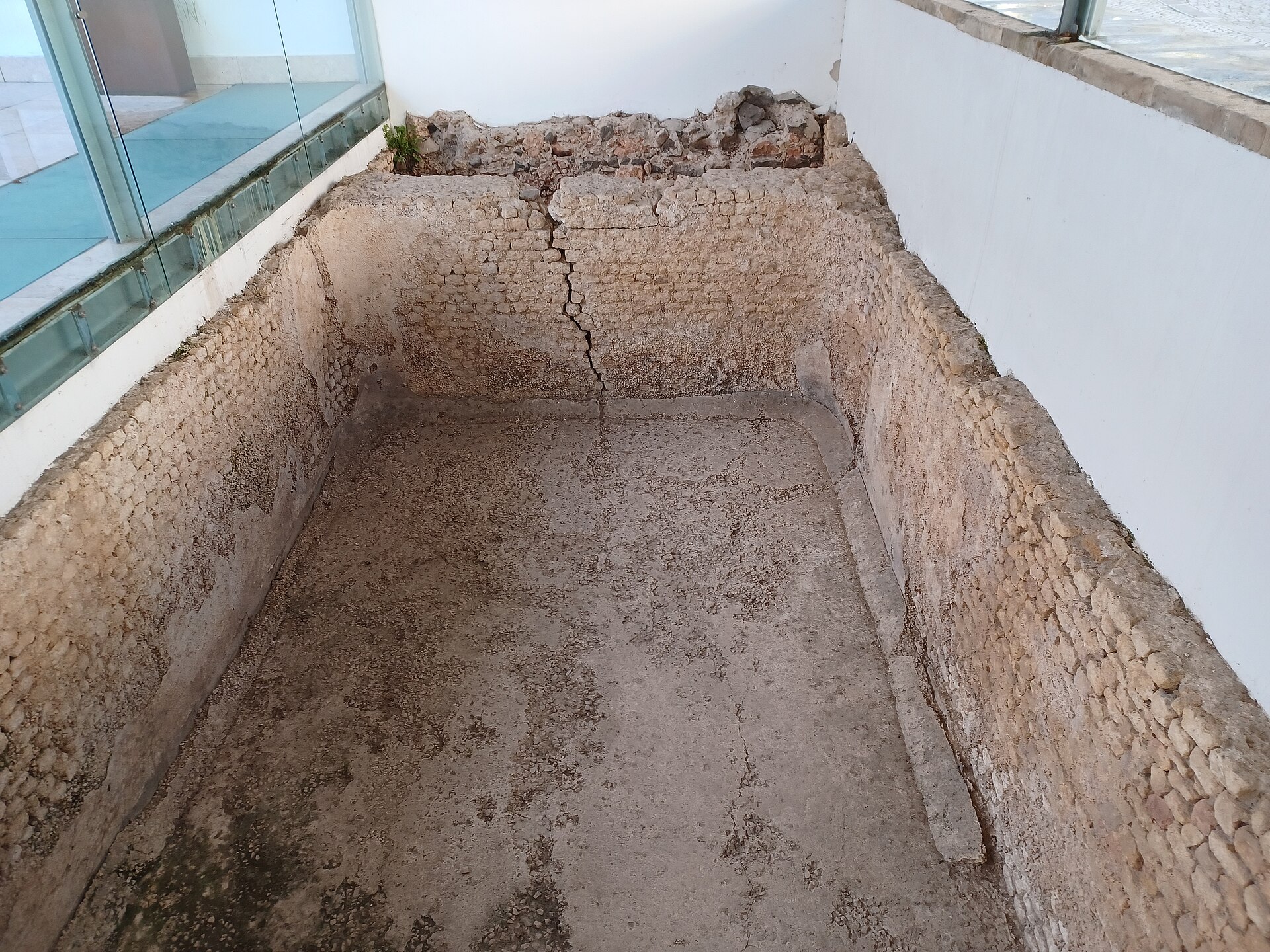 Garum