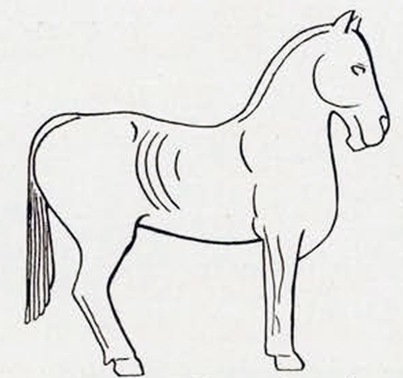 Sciți