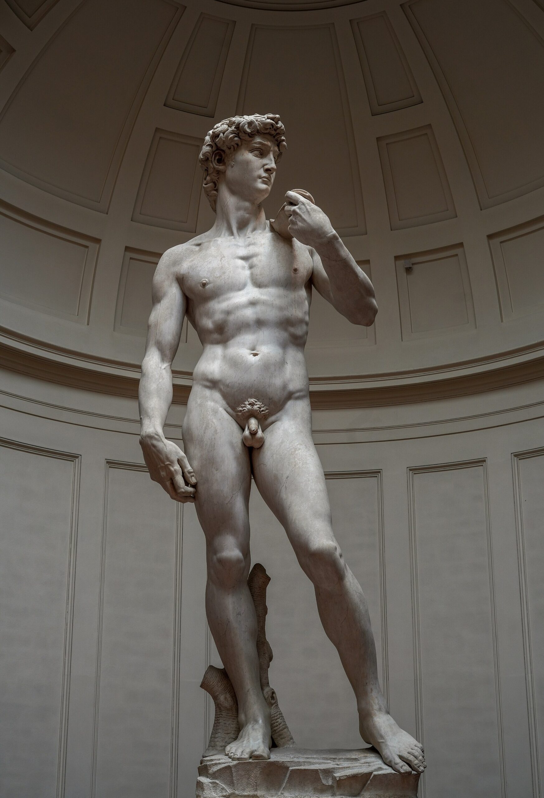 David (sculptură de Michelangelo)