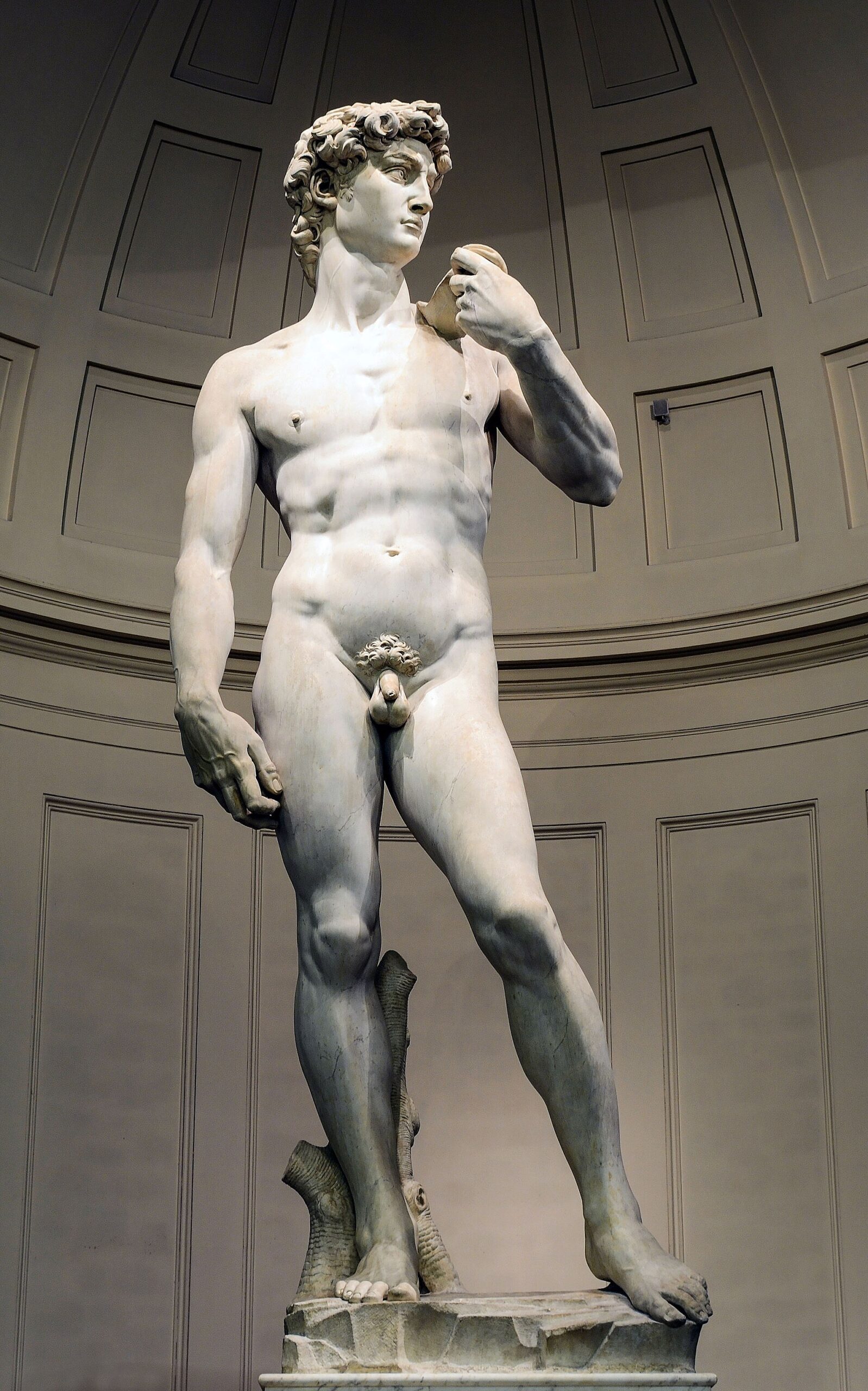 David (sculptură de Michelangelo)