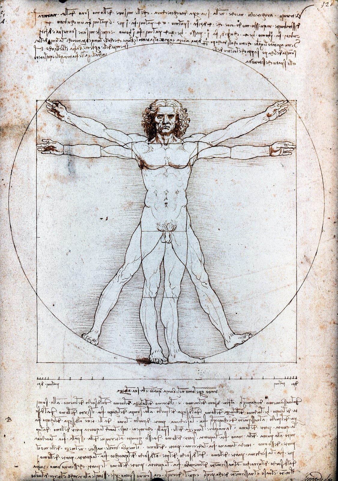 Omul Vitruvian
