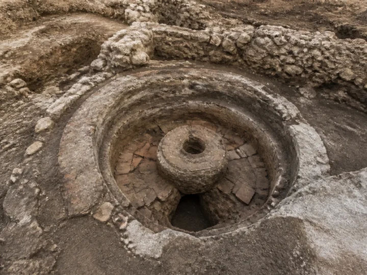 Baie romană privată descoperită într-un palat imperial din Serbia