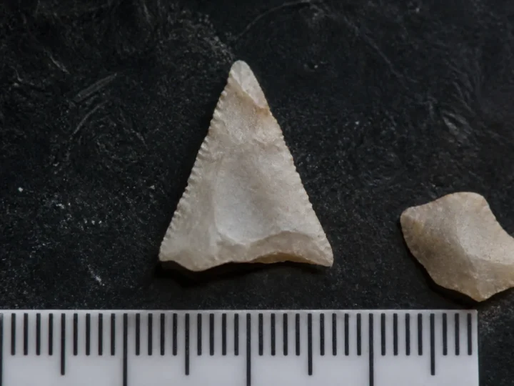 Micropiese de proiectil de 80.000 de ani, identificate la Obi-Rakhmat