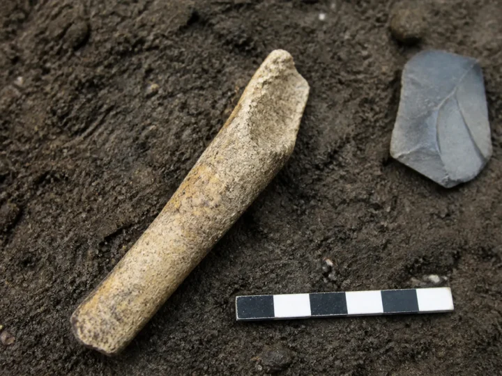 Săpăturile de la Prado Vargas au extins la 140 de metri pătrați un nivel neanderthalian