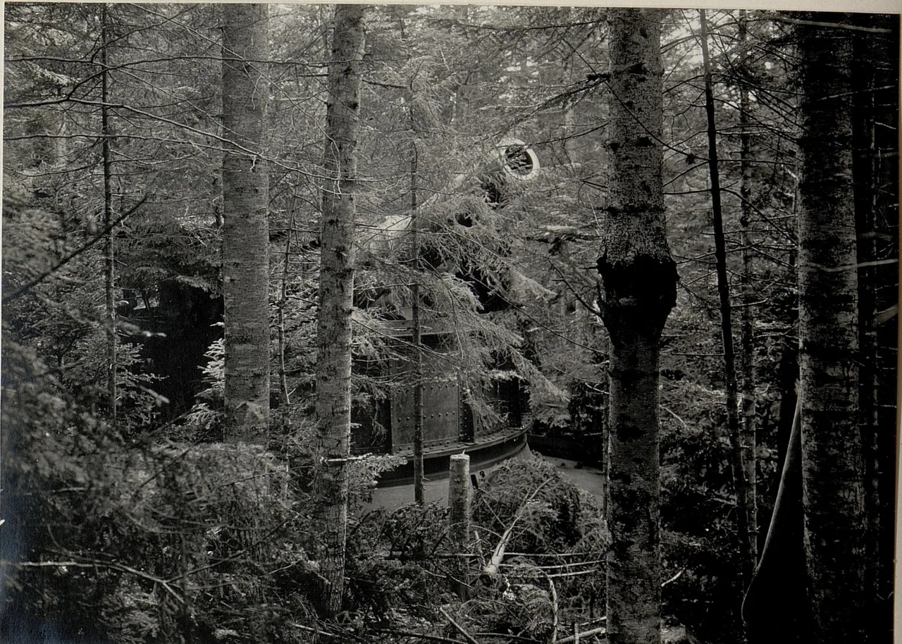 42 cm Haubitze am Monte Rover. Aufgenommen im Mai 1916. (BildID 15534014)