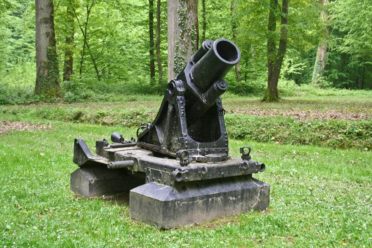 Cannon at Belleau Wood, France (4752498847)