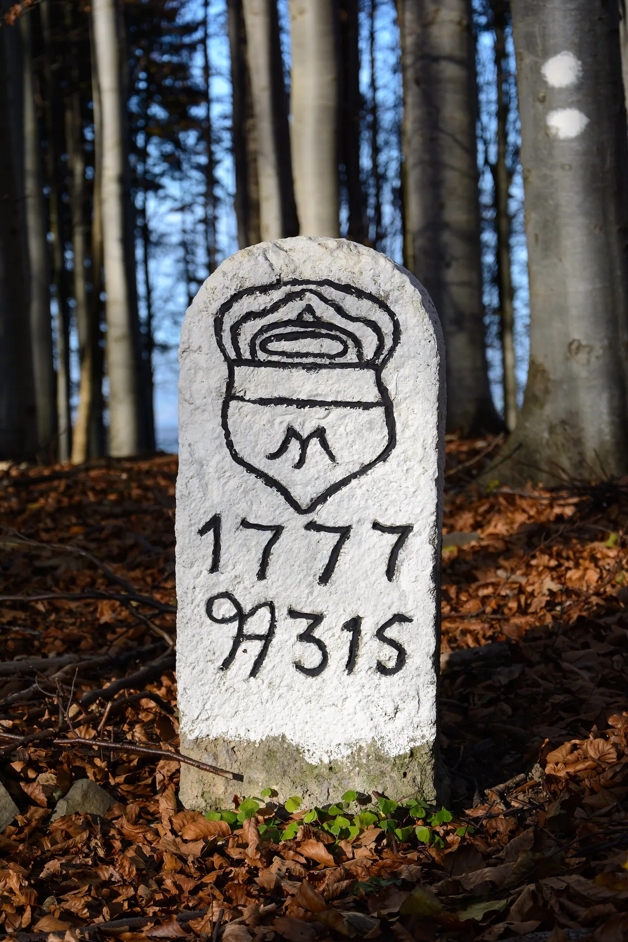 Schöpfl Grenzstein 1777 A315