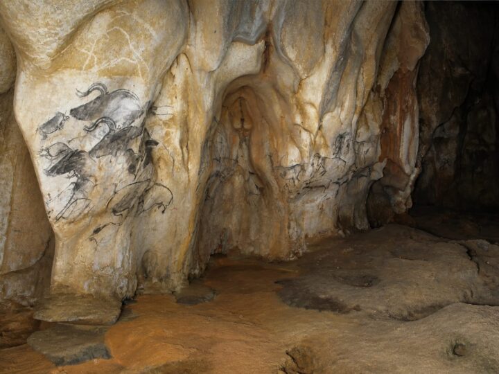 Cum au rezistat picturile de 37.000 de ani din peștera Chauvet sub un văl invizibil de calcit