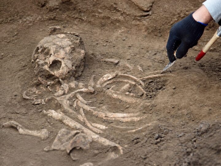 Un neanderthalian din Irak ar fi fost străpuns cu o suliță acum 75.000 de ani