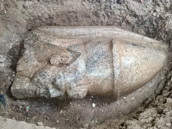 O piatră observată de un fermier a dus la descoperirea a două statui regale fragmentare în Egipt