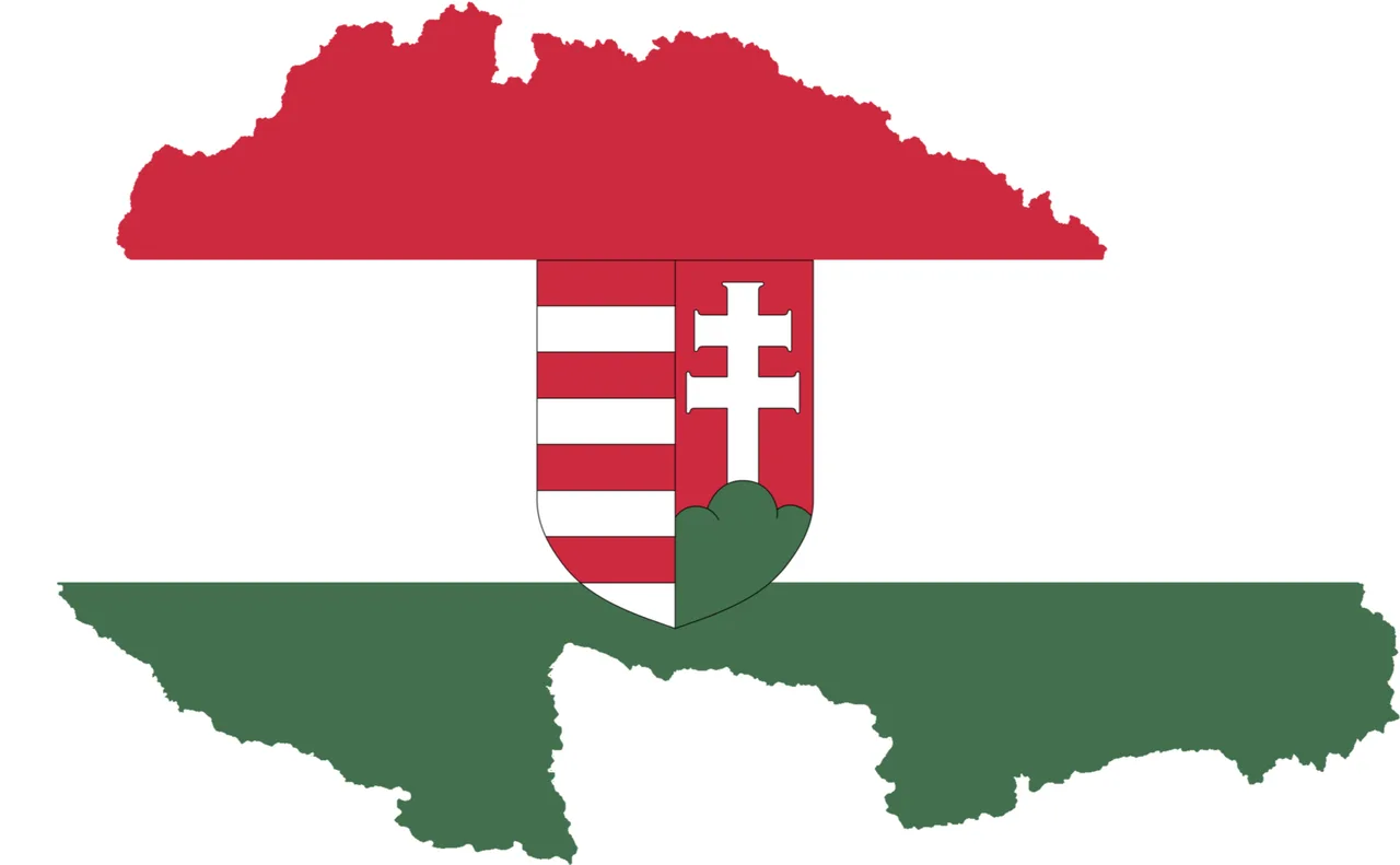Flag map of Hungary (1918 1919)