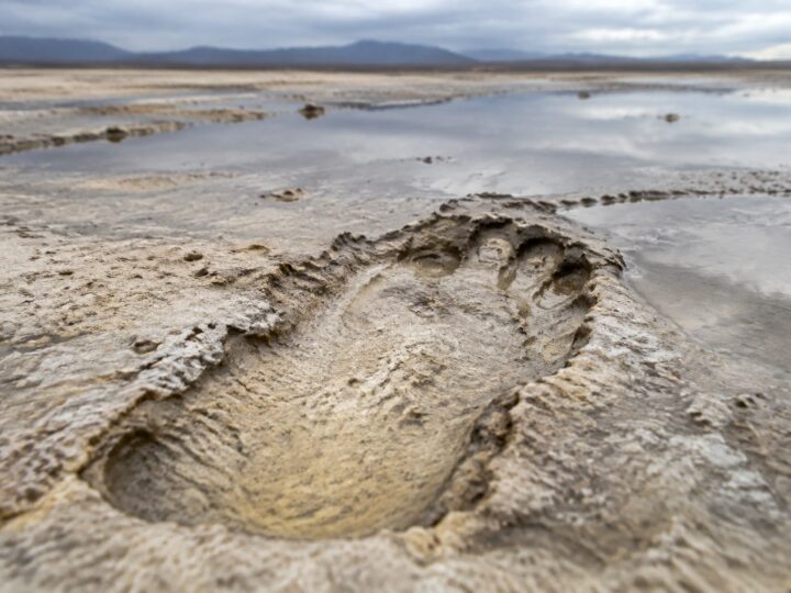 Un studiu explică de ce urmele fosile de la White Sands nu arată câți oameni trăiau acolo
